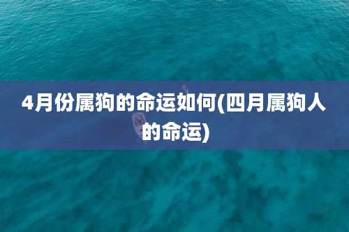 4月份属狗的命运如何(四月属狗人的命运)