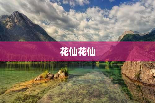 花仙花仙