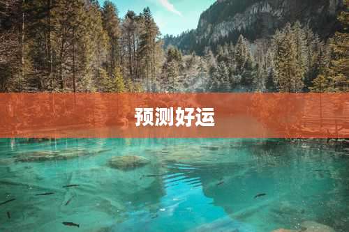 预测好运