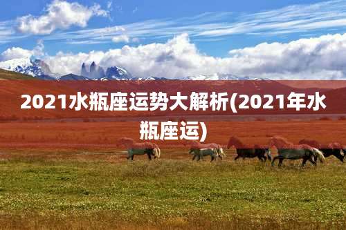 2021水瓶座运势大解析(2021年水瓶座运)