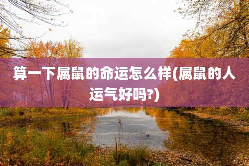 算一下属鼠的命运怎么样(属鼠的人运气好吗?)