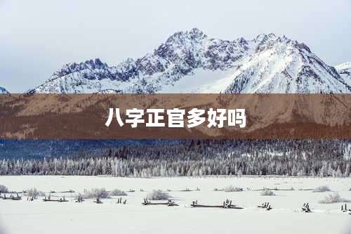 八字正官多好吗