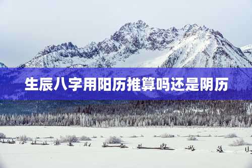 生辰八字用阳历推算吗还是阴历