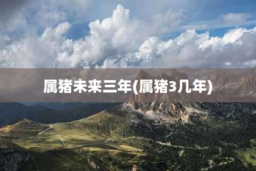 属猪未来三年(属猪3几年)