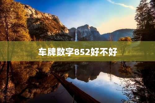 车牌数字852好不好