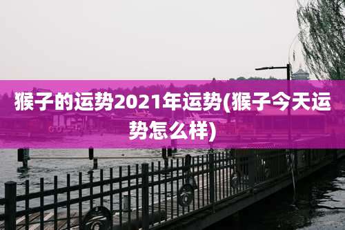 猴子的运势2021年运势(猴子今天运势怎么样)