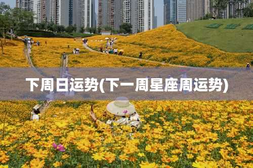 下周日运势(下一周星座周运势)