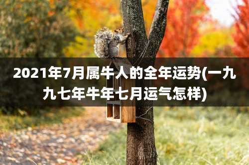 2021年7月属牛人的全年运势(一九九七年牛年七月运气怎样)