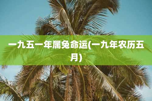 一九五一年属兔命运(一九年农历五月)