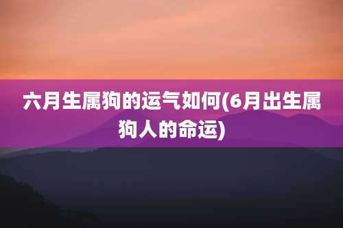 六月生属狗的运气如何(6月出生属狗人的命运)