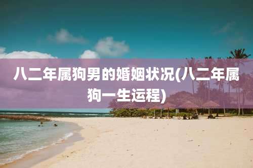 八二年属狗男的婚姻状况(八二年属狗一生运程)