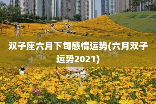 双子座六月下旬感情运势(六月双子运势2021)