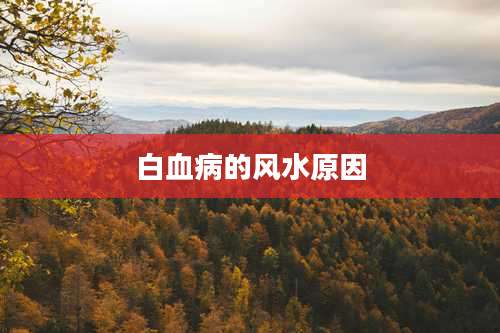 白血病的风水原因