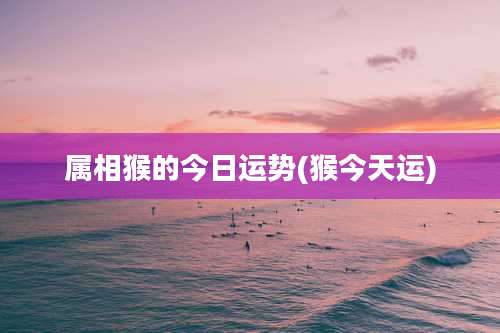 属相猴的今日运势(猴今天运)