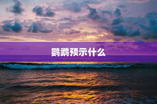 鹦鹉预示什么