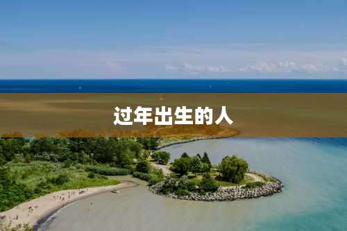 过年出生的人