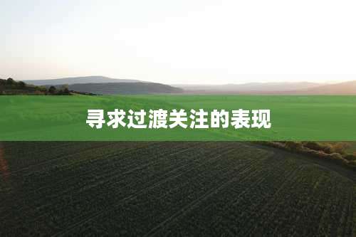 寻求过渡关注的表现