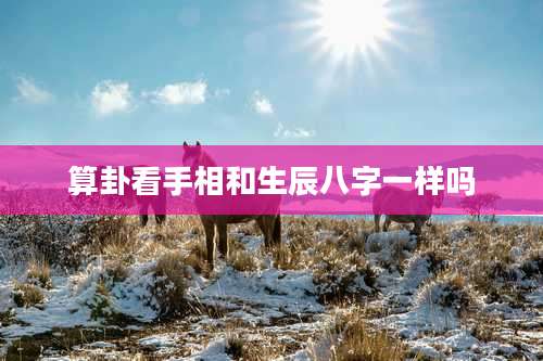 算卦看手相和生辰八字一样吗