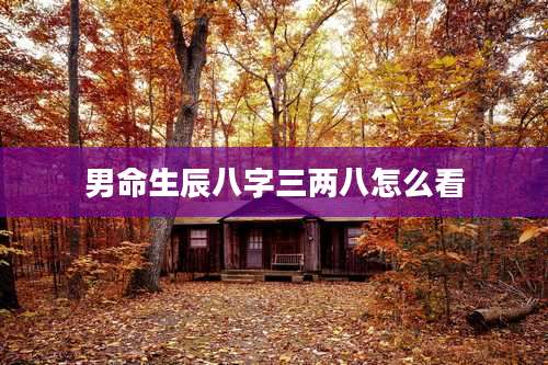 男命生辰八字三两八怎么看