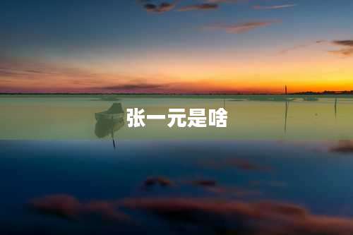 张一元是啥