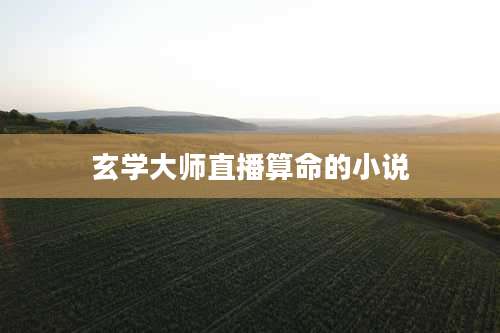 玄学大师直播算命的小说