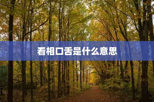 看相口舌是什么意思