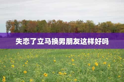 失恋了立马换男朋友这样好吗