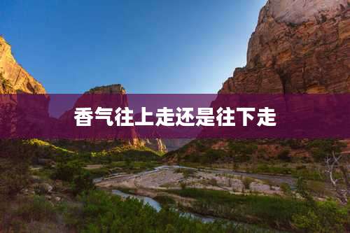 香气往上走还是往下走