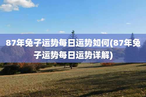 87年兔子运势每日运势如何(87年兔子运势每日运势详解)