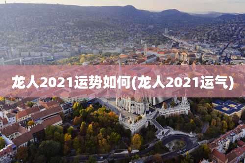 龙人2021运势如何(龙人2021运气)