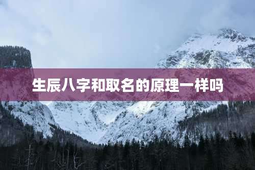 生辰八字和取名的原理一样吗