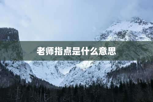 老师指点是什么意思