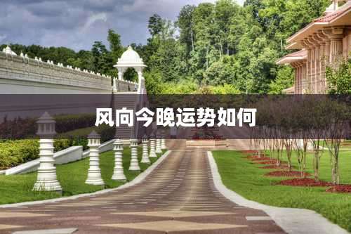 风向今晚运势如何