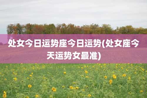 处女今日运势座今日运势(处女座今天运势女最准)