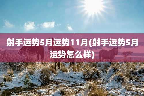 射手运势5月运势11月(射手运势5月运势怎么样)