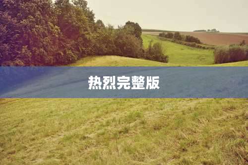 热烈完整版