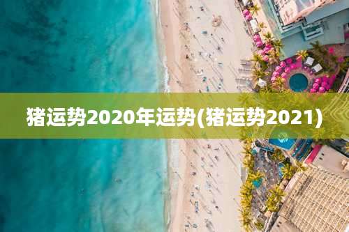 猪运势2020年运势(猪运势2021)