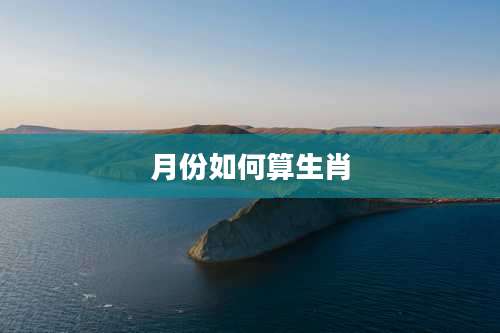 月份如何算生肖