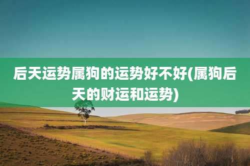 后天运势属狗的运势好不好(属狗后天的财运和运势)