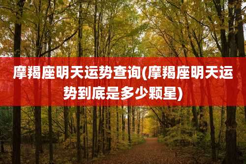 摩羯座明天运势查询(摩羯座明天运势到底是多少颗星)