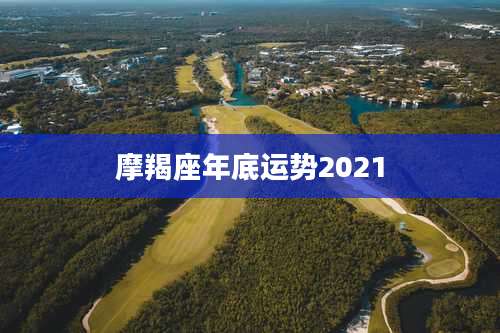 摩羯座年底运势2021