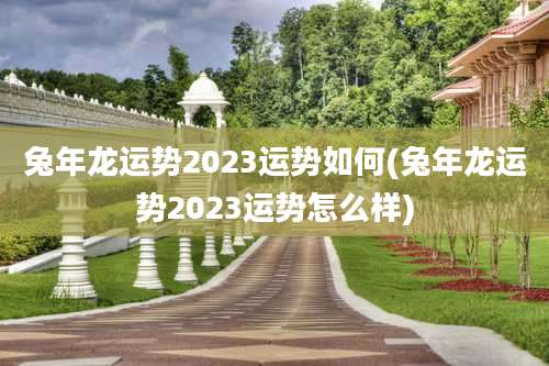 兔年龙运势2023运势如何(兔年龙运势2023运势怎么样)