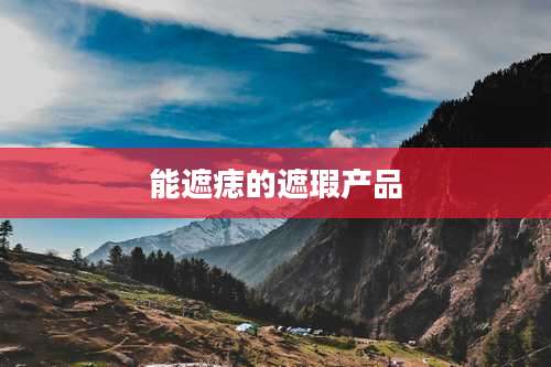 能遮痣的遮瑕产品