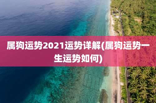属狗运势2021运势详解(属狗运势一生运势如何)
