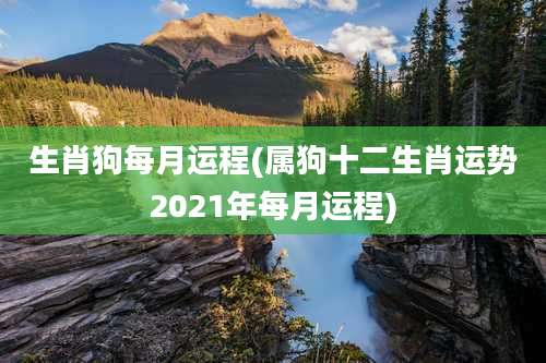 生肖狗每月运程(属狗十二生肖运势2021年每月运程)