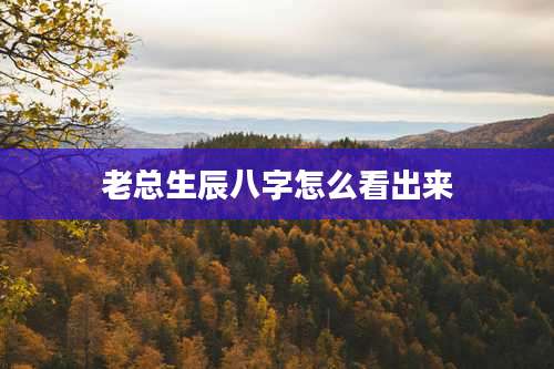 老总生辰八字怎么看出来