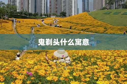 鬼剃头什么寓意