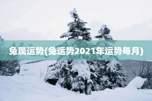 兔属运势(兔运势2021年运势每月)