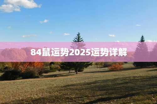 84鼠运势2025运势详解