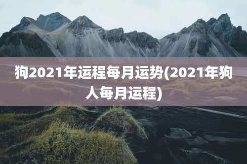 狗2021年运程每月运势(2021年狗人每月运程)